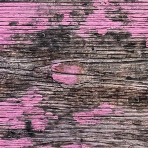 Pink Mold On Wood